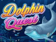 Dolphin Quest