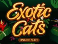 Exotic Cats