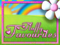 Fluffy Favourites