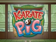 Karate Pig