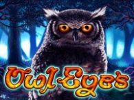 Owl Eyes