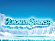 Penguin Splash