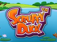 Scruffy Duck