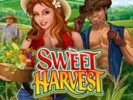 Sweet Harvest
