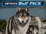 Untamed Wolf Pack