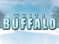 White Buffalo